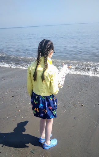 Kirkcaldy Beach 20250808 150334 009