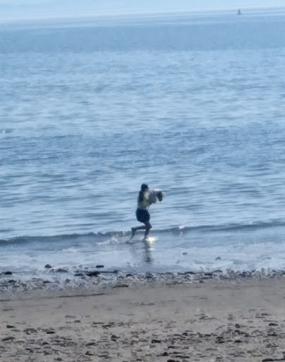 Kirkcaldy Beach 20250808 150335 010