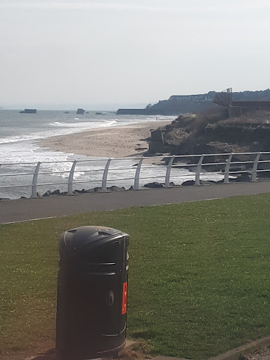 Kirkcaldy Beach 20250808 150339 015