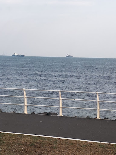 Kirkcaldy Beach 20250808 150340 017