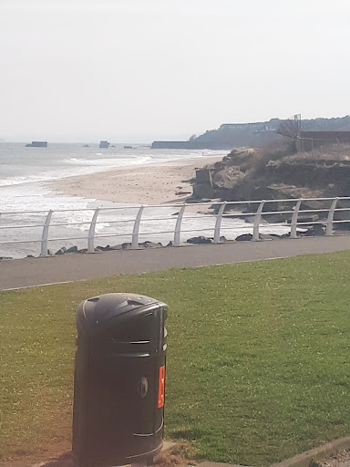 Kirkcaldy Beach 20250808 150341 018