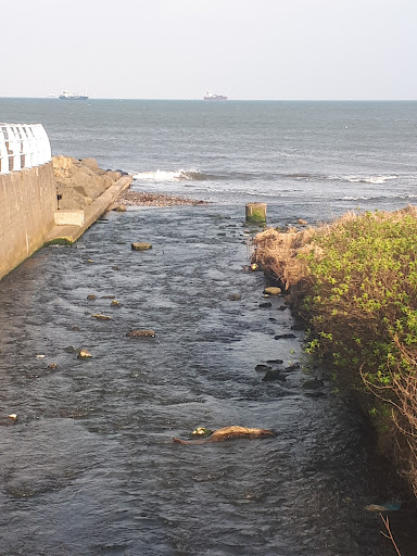 Kirkcaldy Beach 20250808 150342 019