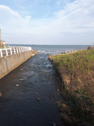 Kirkcaldy Beach 20250808 150343 020