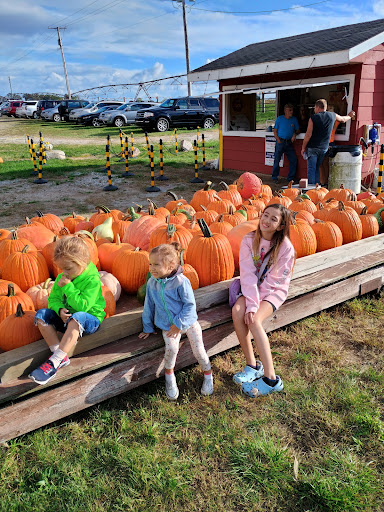 Knollbrook Farm 20250727 050058 012
