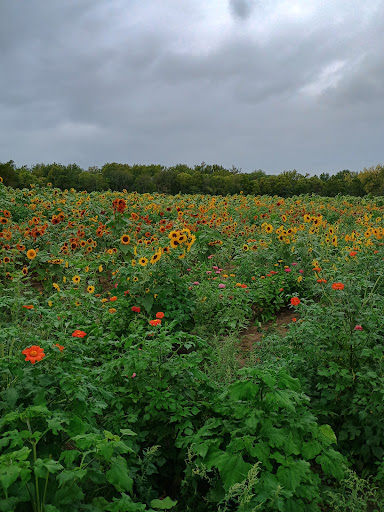 Knollbrook Farm 20250727 050102 018