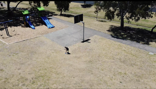 Korong Reserve 20250824 013506 001