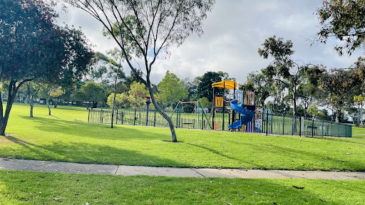 LJ Lewis Reserve Playground 20250824 013742 008