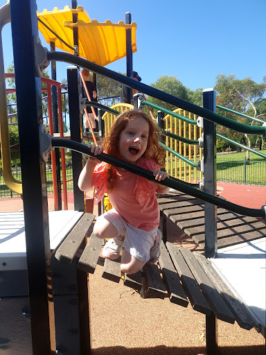 LJ Lewis Reserve Playground 20250824 013743 010