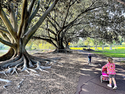 Lake Claremont Nature Playground 20250824 021859 009