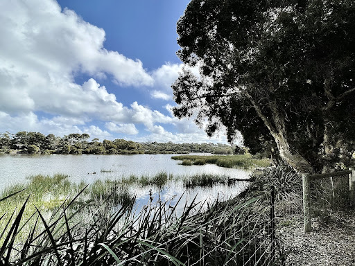 Lake Claremont Nature Playground 20250824 021900 010