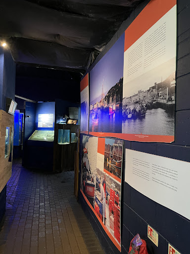 Lake District Coast Aquarium Maryport 20250808 154110 002