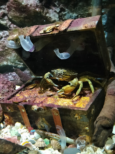 Lake District Coast Aquarium Maryport 20250808 154112 004