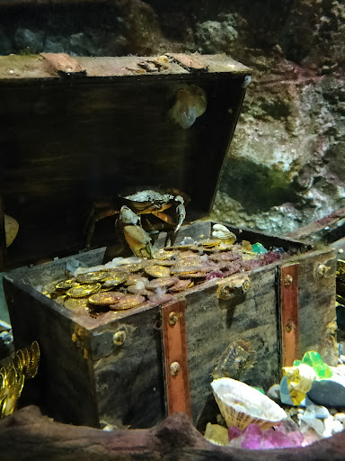 Lake District Coast Aquarium Maryport 20250808 154112 005