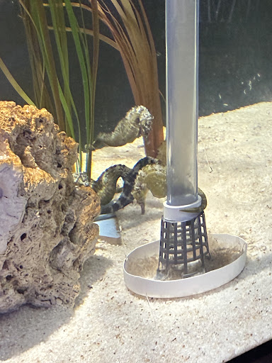 Lake District Coast Aquarium Maryport 20250808 154116 009