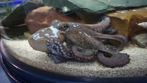 Lake District Coast Aquarium Maryport 20250808 154118 012