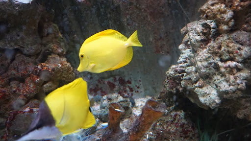 Lake District Coast Aquarium Maryport 20250808 154120 014
