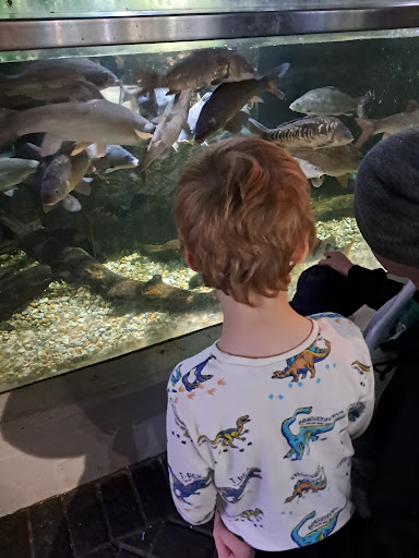 Lake District Coast Aquarium Maryport 20250808 154122 017