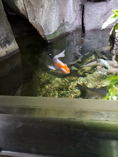 Lake District Coast Aquarium Maryport 20250808 154123 018