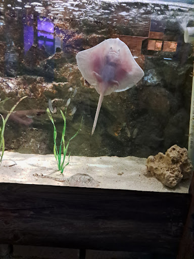 Lake District Coast Aquarium Maryport 20250808 154124 019