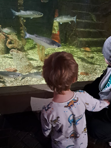 Lake District Coast Aquarium Maryport 20250808 154125 020