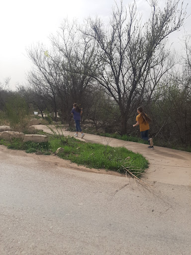 Lake Kirby Park and Nature Play Area 20250726 190821 001