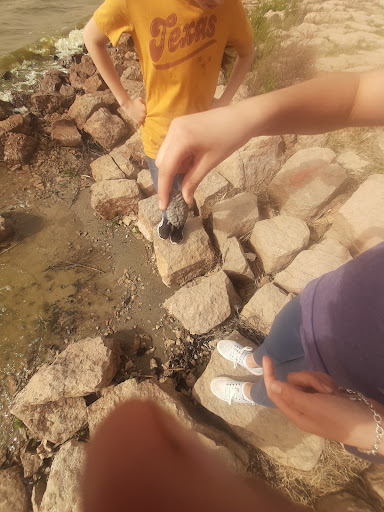 Lake Kirby Park and Nature Play Area 20250726 190822 003