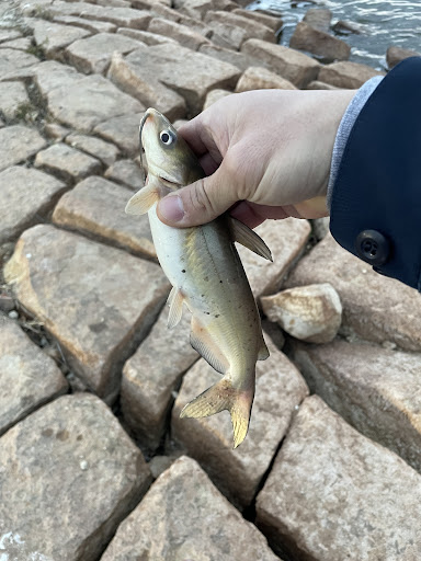 Lake Kirby Park and Nature Play Area 20250726 190827 010