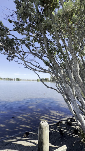 Lake Playground 20250818 164101 014