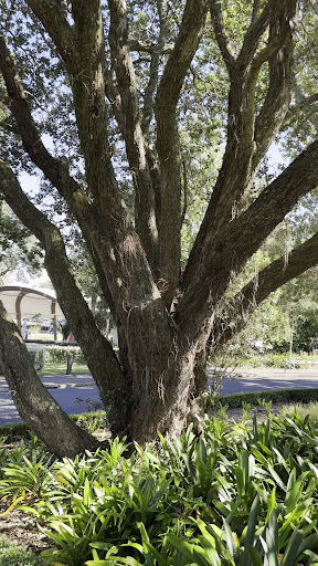 Lake Playground 20250818 164103 016