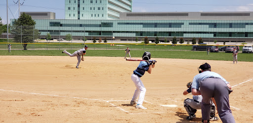 Lamp Park 20250727 040501 004