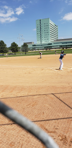 Lamp Park 20250727 040502 005