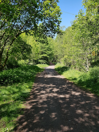 Lanchester Park 20250808 154001 001