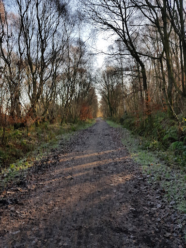 Lanchester Park 20250808 154002 002