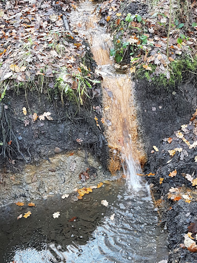 Lanchester Park 20250808 154003 003