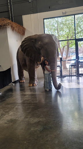 Lava Island 20250727 021451 005