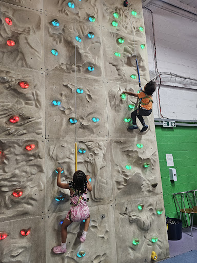 Lemur Landings 20250808 201649 006