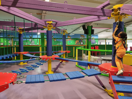 Lemur Landings 20250808 201651 009