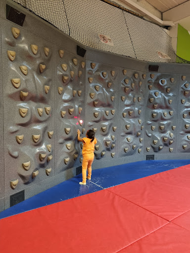 Lemur Landings 20250808 201655 013