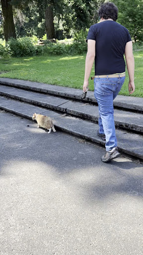 Lents Park Playground 20250727 104212 006