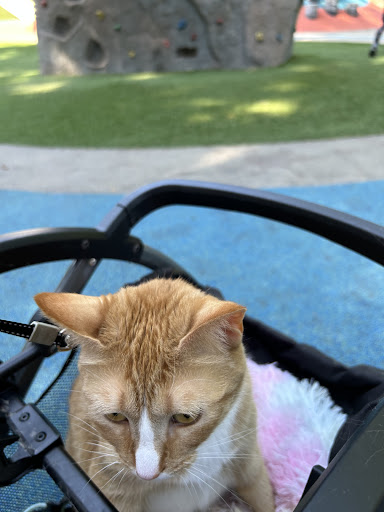 Lents Park Playground 20250727 104216 010