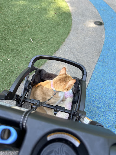 Lents Park Playground 20250727 104219 013