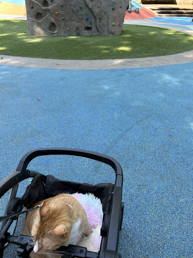 Lents Park Playground 20250727 104221 015