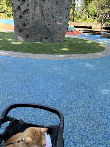 Lents Park Playground 20250727 104222 016