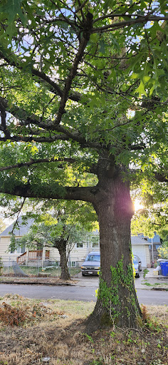 Lents Park Playground 20250727 104223 017