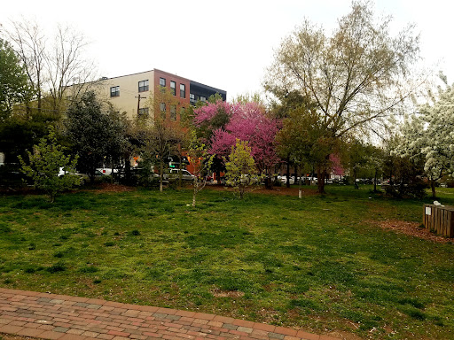 Liberty Lands 20250727 024759 012