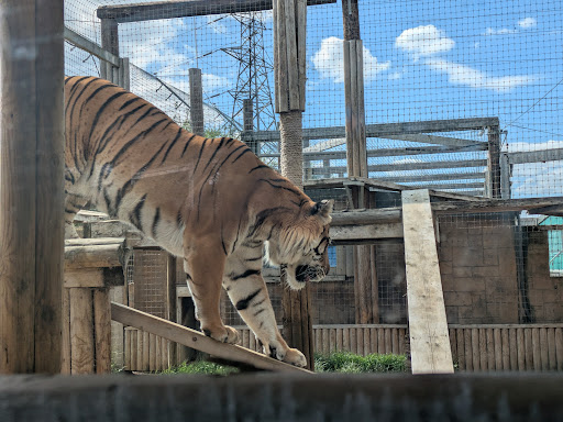 Lincolnshire Wildlife Park 20250808 165716 001