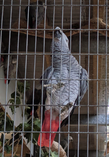 Lincolnshire Wildlife Park 20250808 165717 002