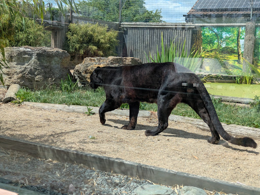 Lincolnshire Wildlife Park 20250808 165718 003