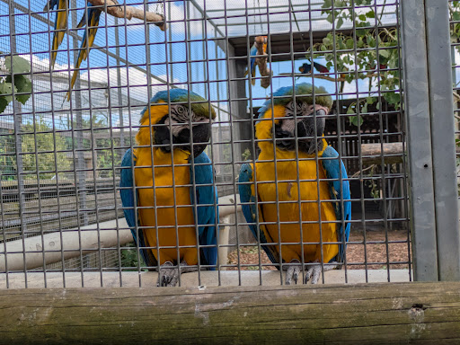 Lincolnshire Wildlife Park 20250808 165720 005