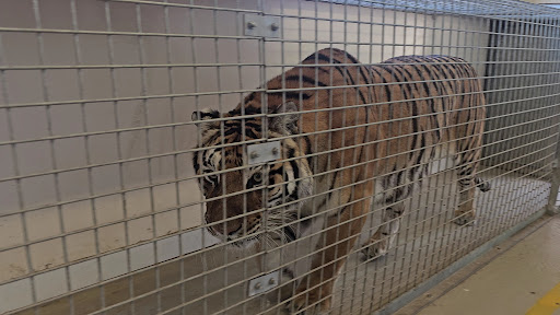 Lincolnshire Wildlife Park 20250808 165722 008